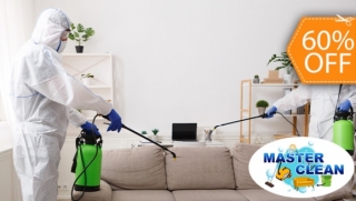 [Image: Fumigación de Plagas de Insectos Voladores y Rastrerosm]