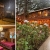 [Image: ¡Escapada con Clima Fresco! ¡Paga $37 en Lugar de $77 por Estadía de 1 Noche para 4 Personas en Habitación Doble + 2 Desayunos Típicos en Hotel y Restaurante La Posada del Cielo en Miramundo, Chalatenango!m]