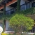 [Image: ¡Inolvidable Estadía en Atitlán! ¡Paga Q350 en Lugar de Q650 por Estadía para 2 Personas en Habitación Doble + Uso de Piscina, Vista al Lago y Volcanes, Acceso a Playa Privada y Área Verde + Impuestos Incluidos!m]