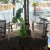 [Image: ¡Paga Q450 en Lugar de Q900 por Estadía Hasta Para 4 Personas en el Caribe, Habitación Doble con A/C + 2 Desayunos a Elección + ⁠Entrada de Tajadas con Costillas para Compartir!m]