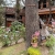 [Image: ¡Escapada con Clima Fresco! ¡Paga $37 en Lugar de $77 por Estadía de 1 Noche para 4 Personas en Habitación Doble + 2 Desayunos Típicos en Hotel y Restaurante La Posada del Cielo en Miramundo, Chalatenango!m]